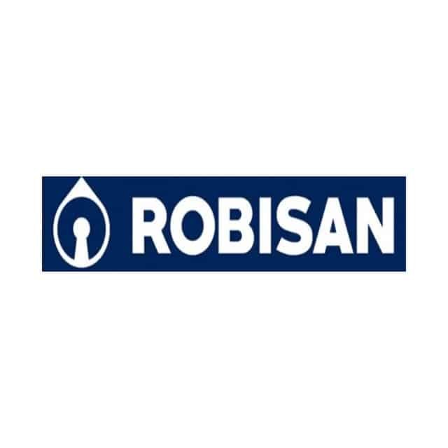 logo robisan